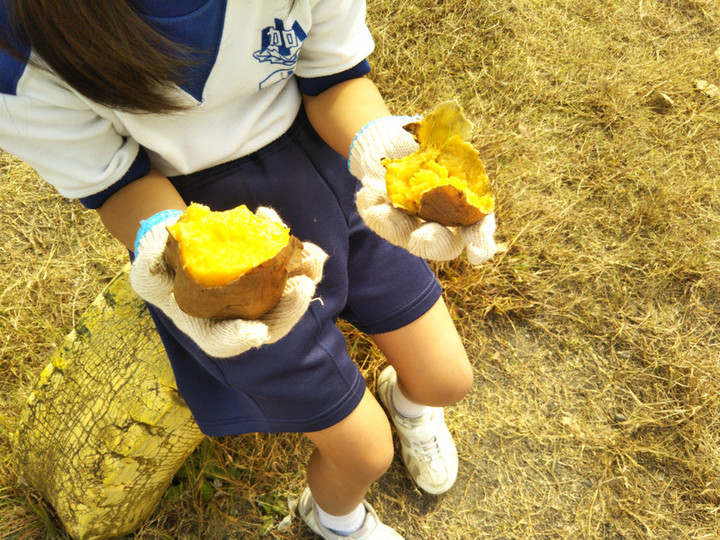 Img_20181101_102847_2