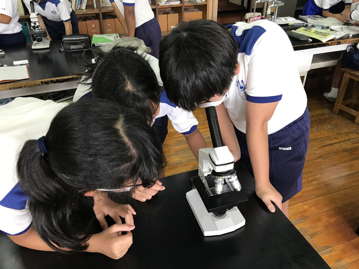 35e1f0eb2aa34cc4821f0b8b50e71f63