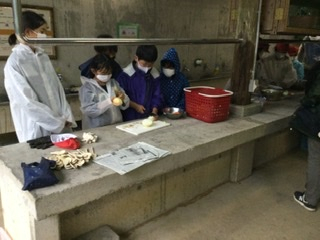 Df9b9f031d524a84bc98d81195512bf4