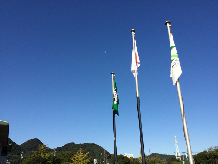 256f54a227e34ac49788f03a38374b97