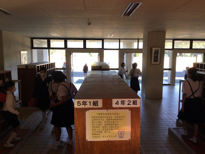 D533f8a633d041e6a5ae8e4f8e1195e3