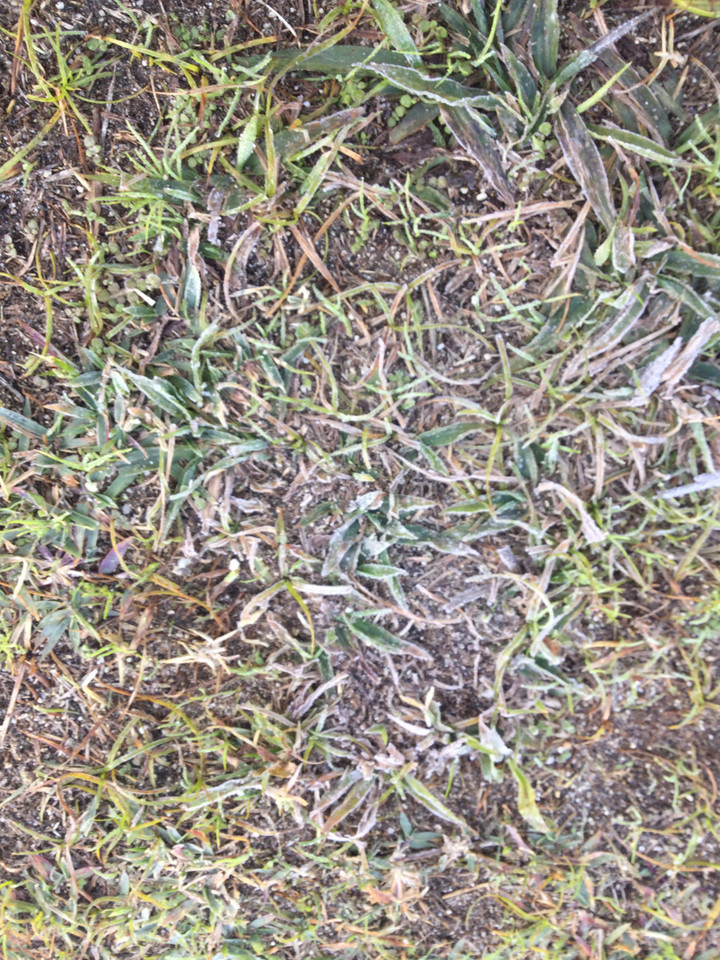 A45b87a7d11144dc933edd59c5d6fb5d