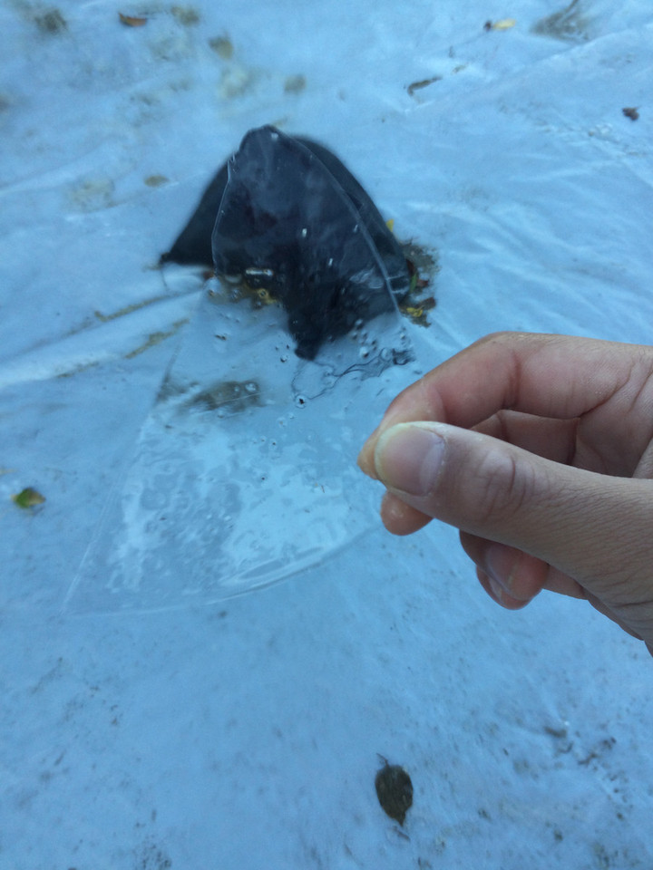 B6106ca6b7124060afb9992987ea82ee