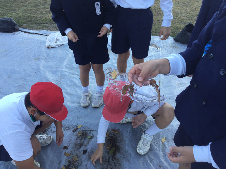 C310c669e46d4429b9a71c8c774dca26