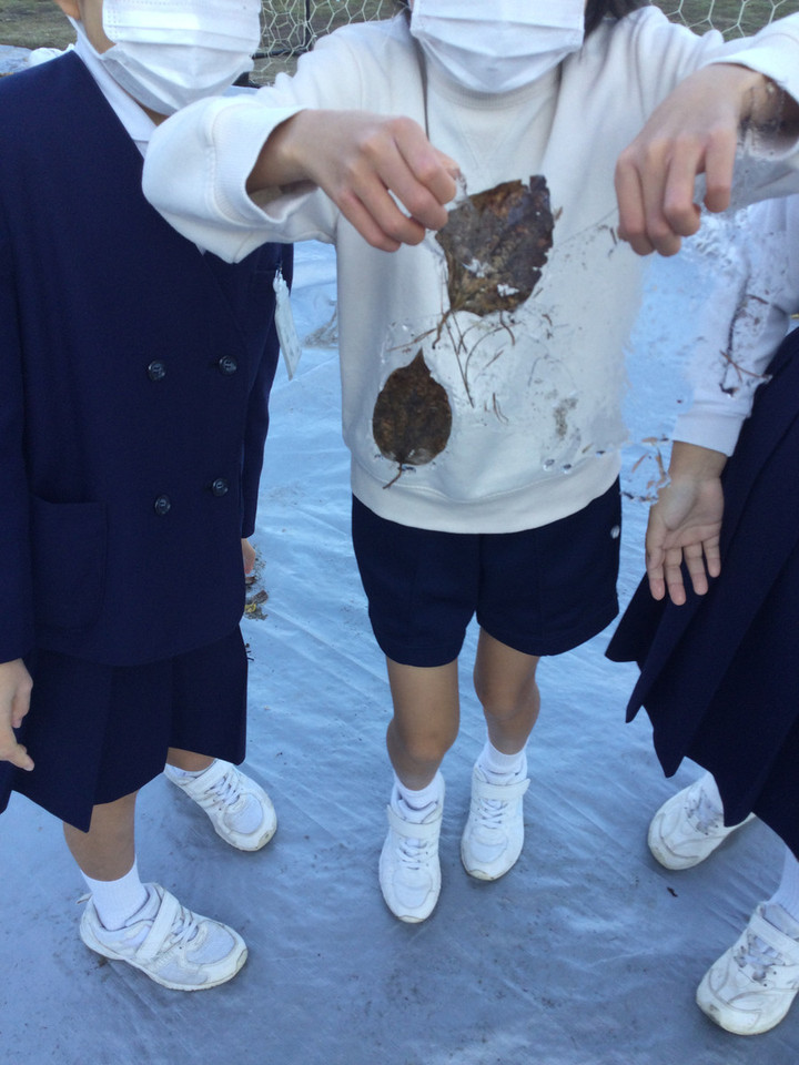 F5ad0f10a4754555bd377c329745c0a9