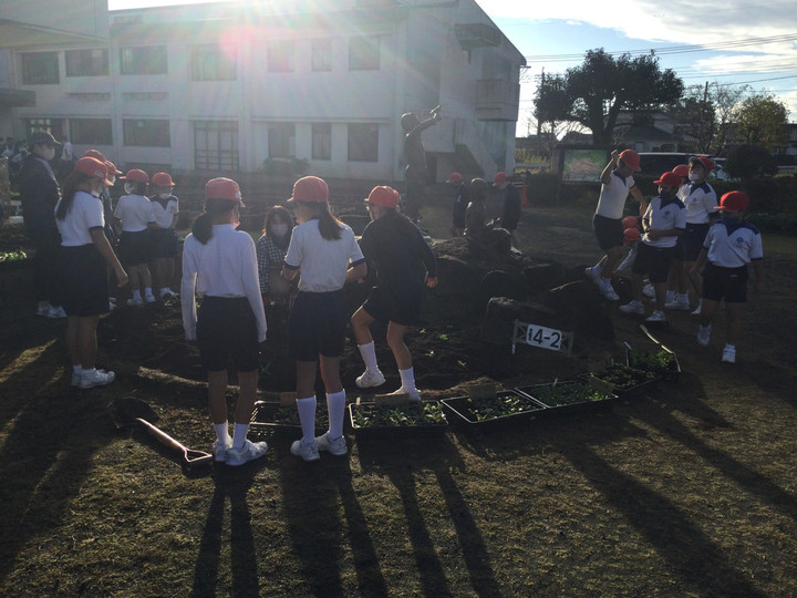 28ee2dbaafbb4a418fd08b114cc10d72