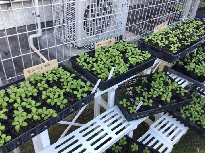 2d57b04e3a3c4a5696b0d89accad58ee