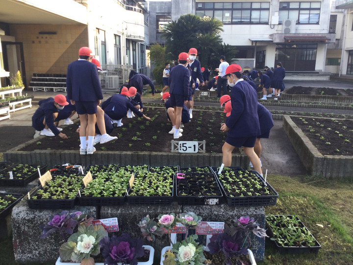 5a6ee0ebe52e458994664e62fbf687da