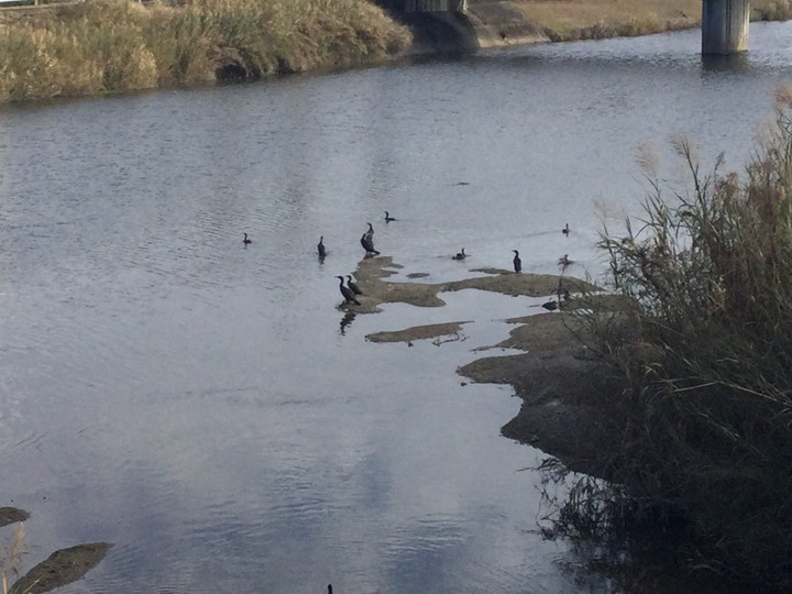 Ddf7dda774b64b4da6e6983d38a96159