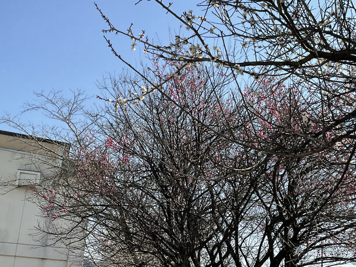 1889e9e5367d496d95727bf2ed0c4a09