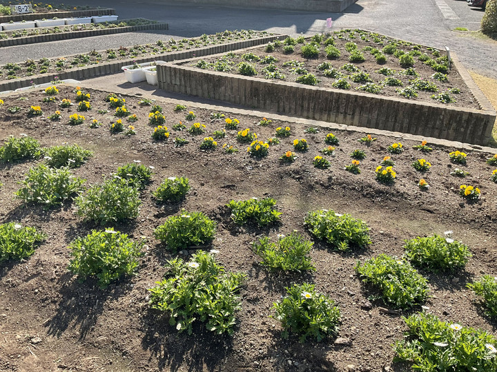 4e56681d03554d8692bf06fdb6d8aec5