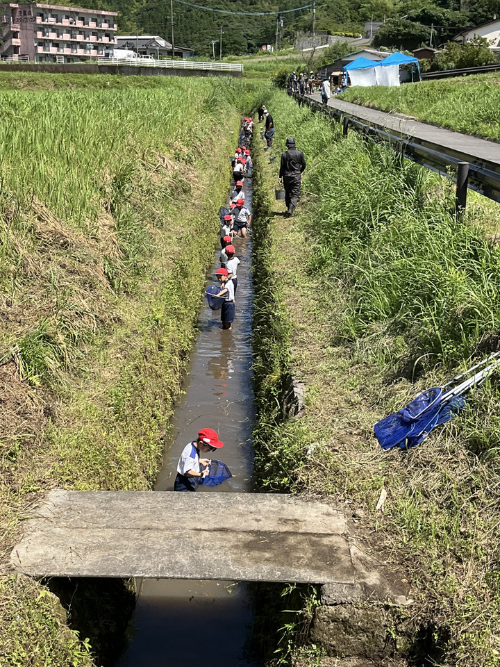 661a49b1ba2a40f188a6b83b16df2c43