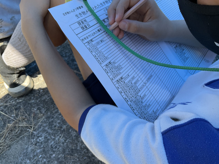 71bb028442124df18c3983776968e717