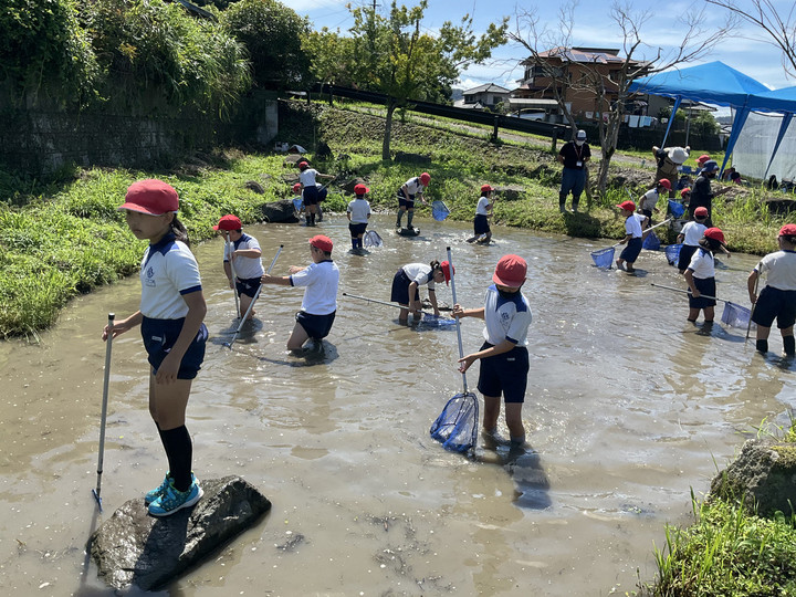 8ab959514ae04d03aaa2782414894815