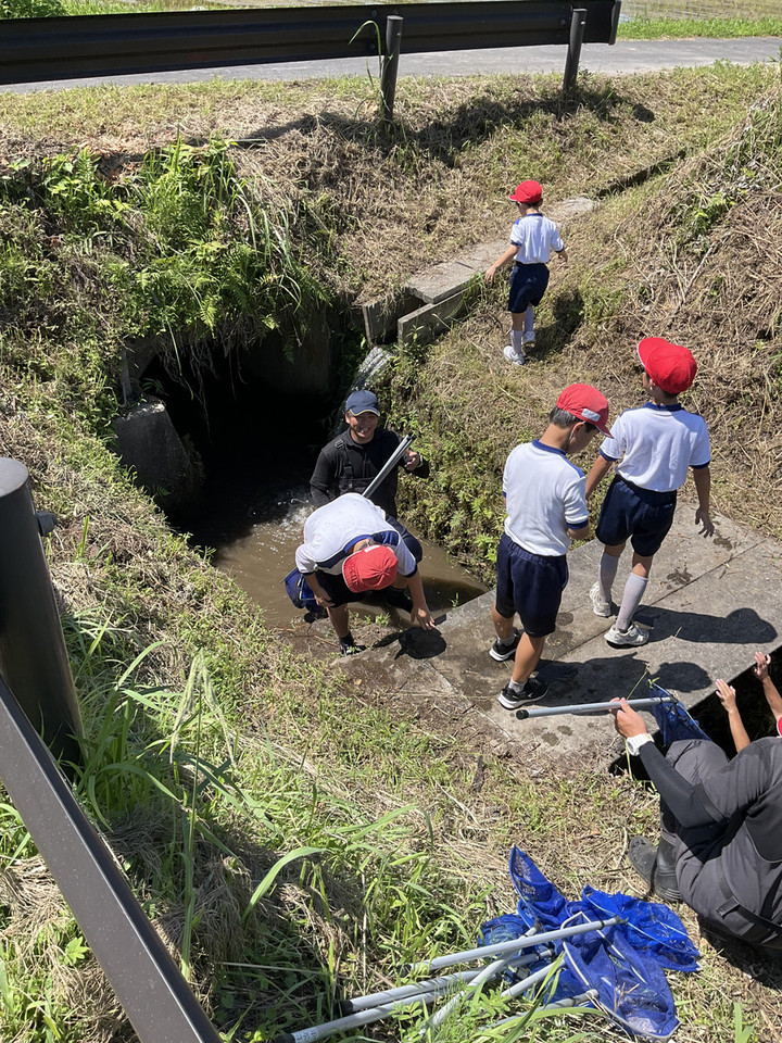 B4931dd242d94c97bcfcc869b610ff25