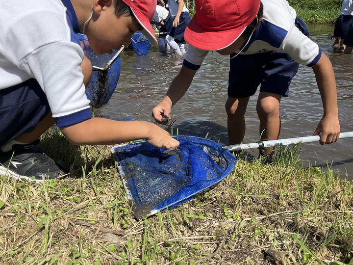 E450eb21e2ac4212ac8c29c33b52b38a