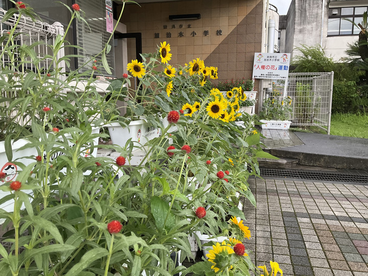 258a80e548ad4086a6ec79bfd1b40402