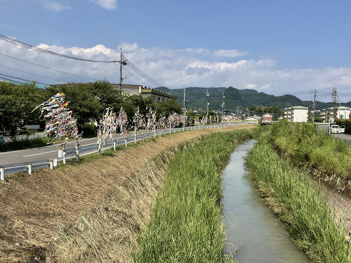 8f9049a32e5a449eacc37acd2c7bdc1e