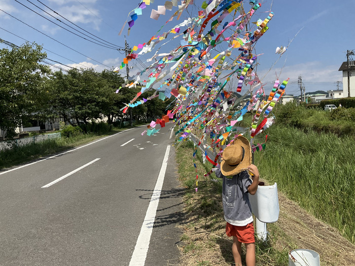 C70dba472d3c47d5af52b41508b114f9