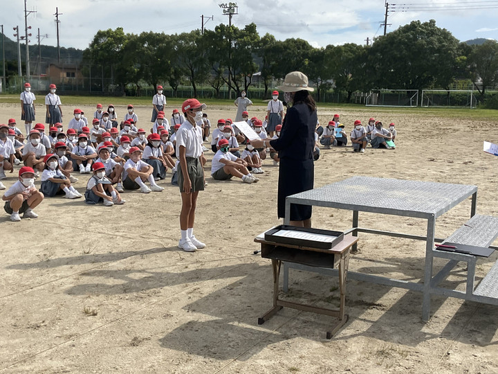 8a012801e513492e9db1b852dc82b4af