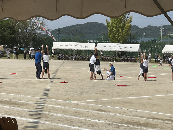 A2f425e055a448559aec766bcf99e743