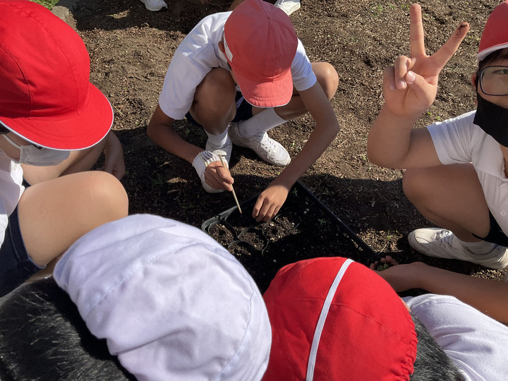 4e20b0900a2849f189e5fa33e9f7509f