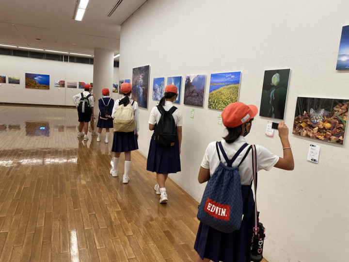 2d4bcb6798f5471bbe770d63285931ed