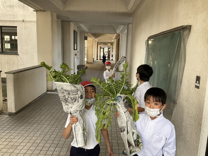 17c4b64f664d4c9f90c4a986b603cec1