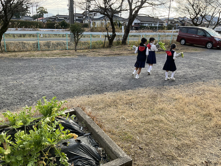 Ae2a79e208bb498d9f1d1b2fe7637286