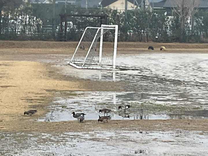 138d6158273c4fed8801d5068fe600f4