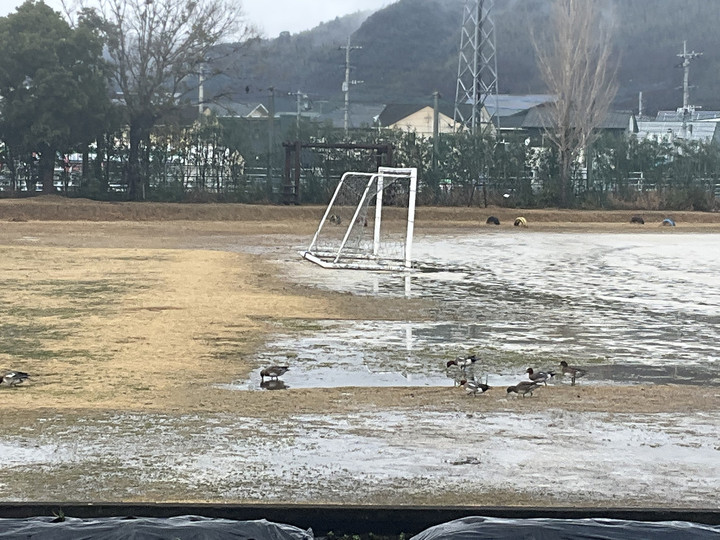 6690add0c0da43c1887efd4f3ad01644