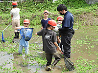 Photo_2