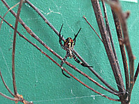 Photo_2