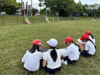 Photo_2