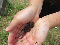 Photo_10