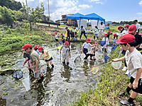 Photo_11