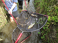 Photo_14