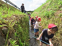 Photo_15