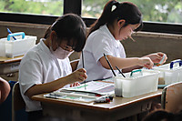 Photo_17
