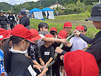 Photo_7
