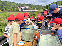 Photo_9
