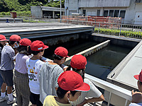 Photo_8 Photo_8
