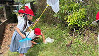 Photo_4