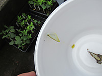 Photo_5
