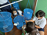 Photo_15 Photo_15