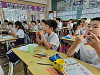 Photo_3