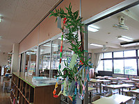 Photo_14 Photo_14
