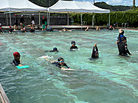 Photo_7 Photo_7