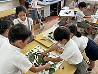 Photo_3