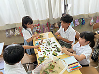 Photo_4